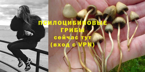 герыч Алексин