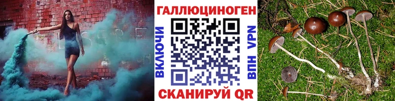 hydra tor  Западная Двина  Галлюциногенные грибы мухоморы 