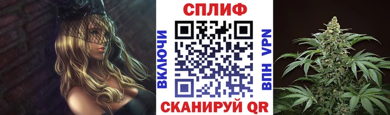 Бошки Шишки план  что такое   Западная Двина 
